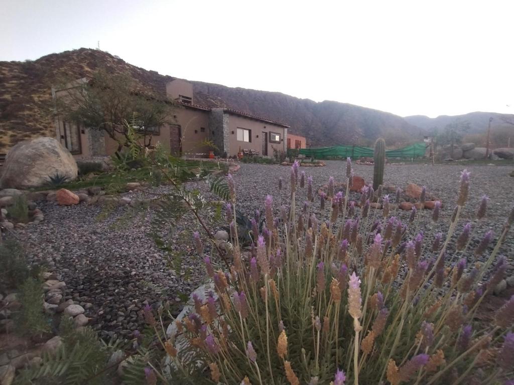 Vista del Patio